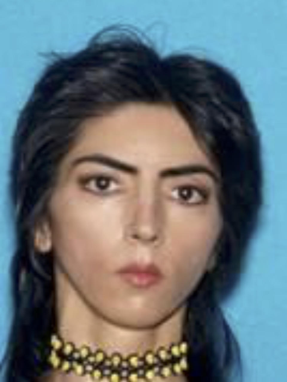 Nasim Aghdam, who opened fire at YouTube headquarters in San Buno, Calif. on April 3, 2018, seen in an undated photo provided by the San Bruno Police Department.