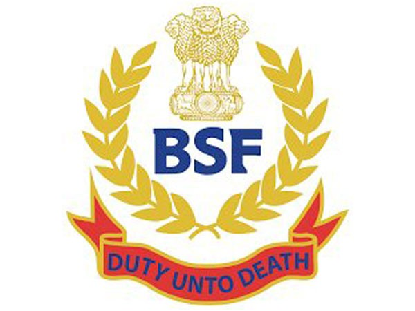 BSF logo