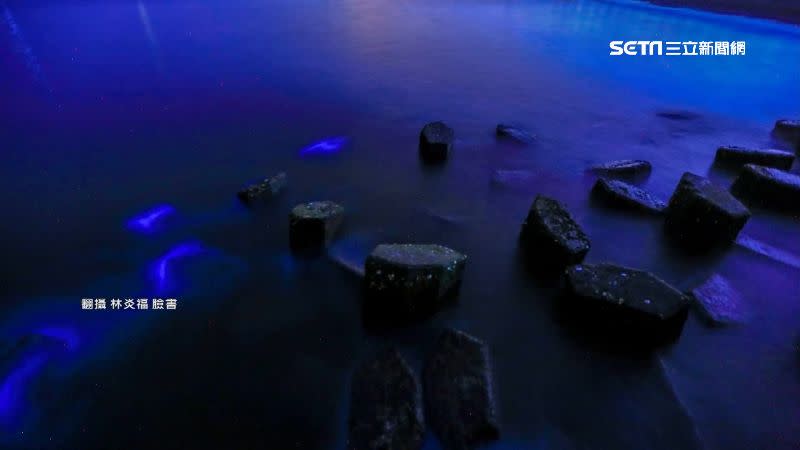 晚上海面一片藍色螢光閃閃發亮，這就是台南版的藍眼淚。（圖／翻攝自林炎福臉書）