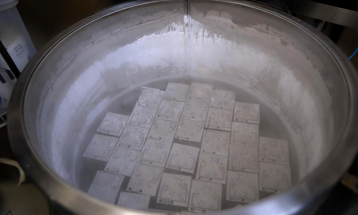 <span>Containers holding frozen embryos and sperm are stored in liquid nitrogen at a fertility clinic. Alabama’s largest infertility clinics have shut down key treatments.</span><span>Photograph: Lynne Sladky/AP</span>
