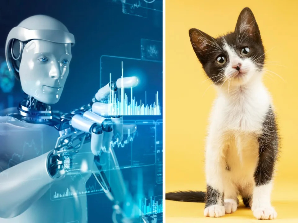 An AI robot and a cat.