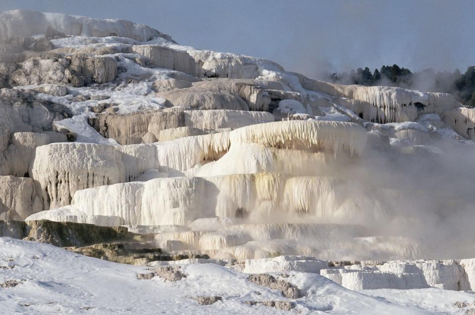 Mammoth Hot Springs