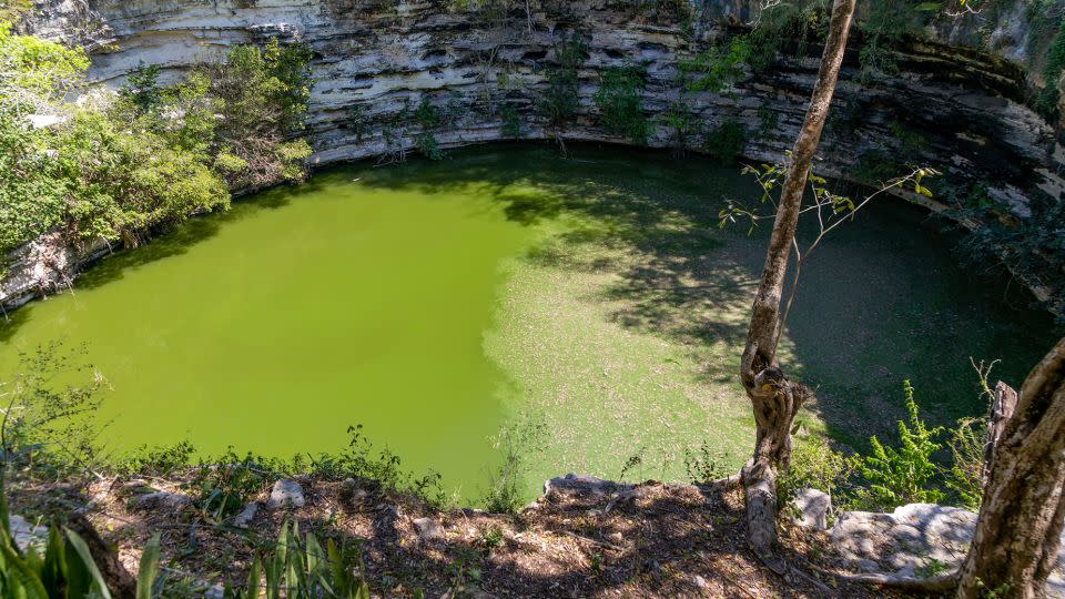 Ανθρώπινα λείψανα και προσφορές πολύτιμων αγαθών έχουν βρεθεί στο ιερό cenote ή καταβόθρα στο Chichén Itzá.  – Γεωγραφία Φωτογραφίες/Ομάδα Universal Images Editorial/Getty Images