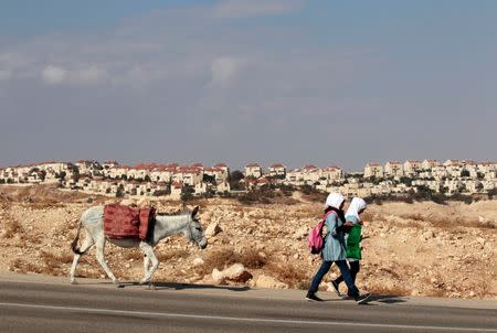 Palestinian schoolgirls walk with a donkey as the West Bank Jewish settlement of Maale Adumim, near Jerusalem, is seen in the background November 13, 2013. REUTERS/Ammar Awad/File Photo