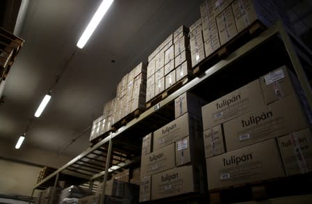 Boxes of condoms are seen in a factory in Buenos Aires