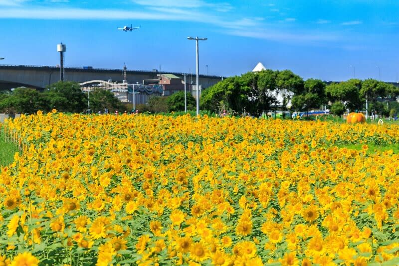 Photo：臺北市政府工務局水利工程處