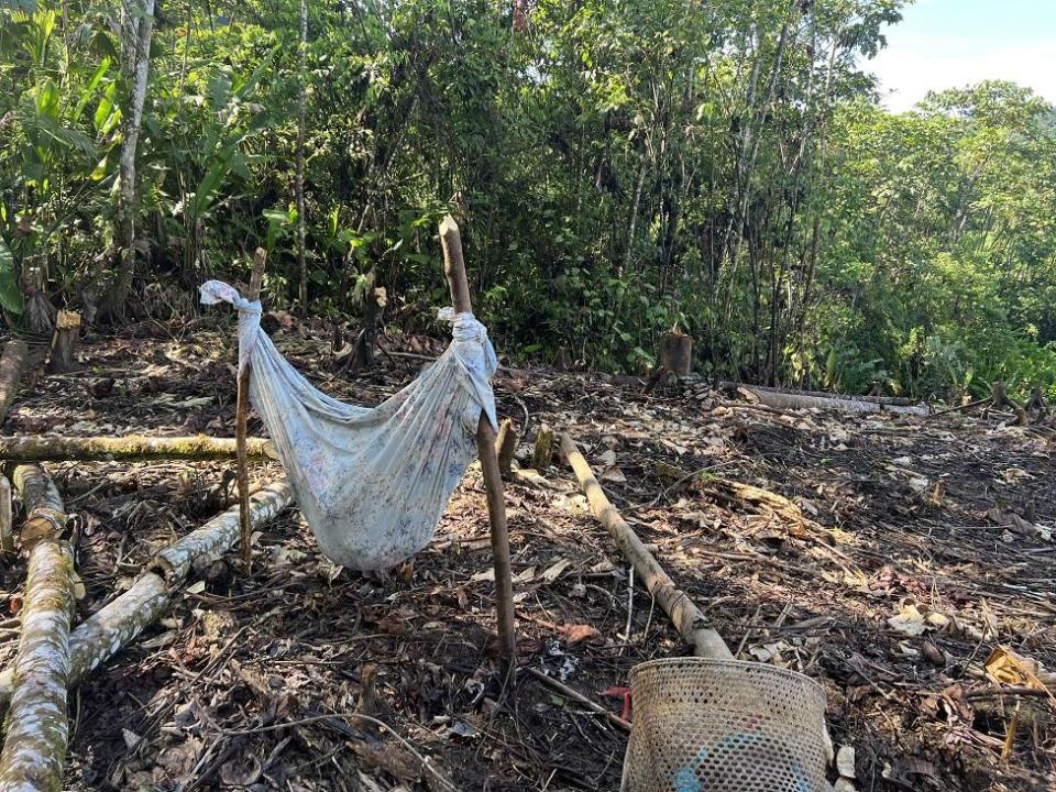 Una hamaca con un bebé adentro