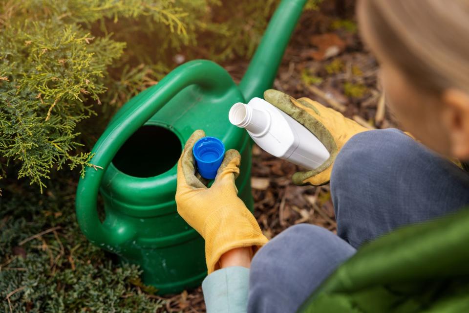 woman pours liquid mineral fertilizer in watering can for garden plants