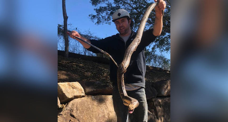 The snake catcher said he spent five hours at Marburg on Tuesday to locate the “big boy eastern brown”. Source: Andrew’s Snake Removal/ Facebook