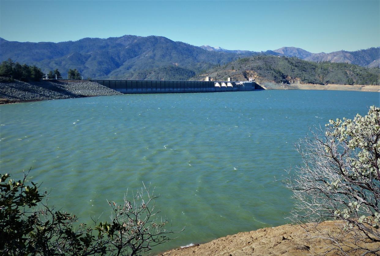 Lake Shasta rose 60 feet in January, due to higher-than-normal rainfall in the region. At the beginning of January parts of the head tower, used during construction of Shasta Dam, were visible above the water line, and the shoreline near the Centimudi Boat Launch extended well into the lake and was used for parking as a parking lot. The head tower and large swaths of shoreline have been submerged under the higher water level.