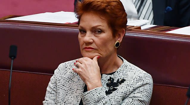 Senator Hanson claims parents and teachers have approached her about the topic. Photo: AAP