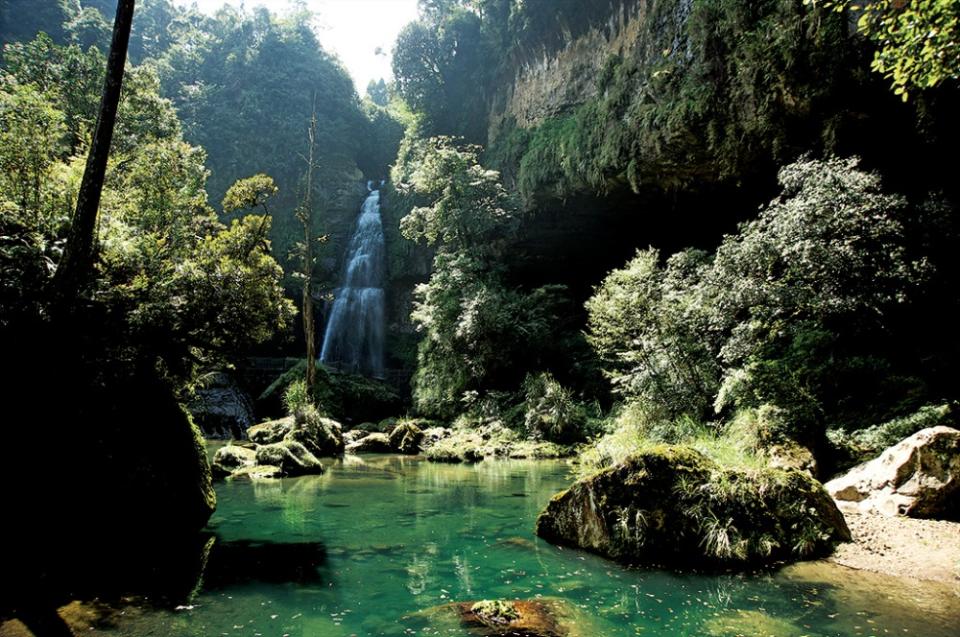 賞完花也可以去山林溪流走走，享受自然景觀。