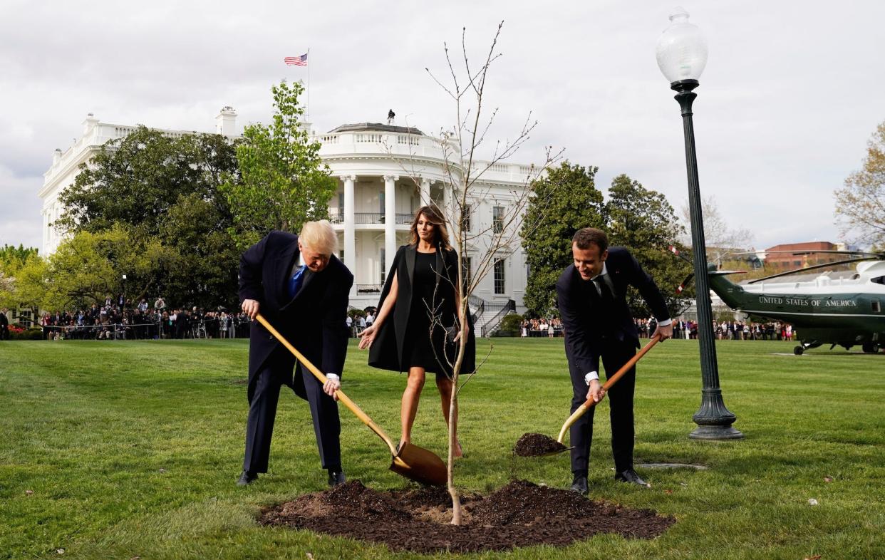 Trump Macron planting a tree