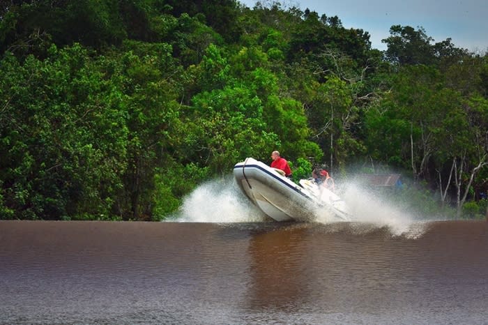 Dare devil wave riding in Kampar River, Riau