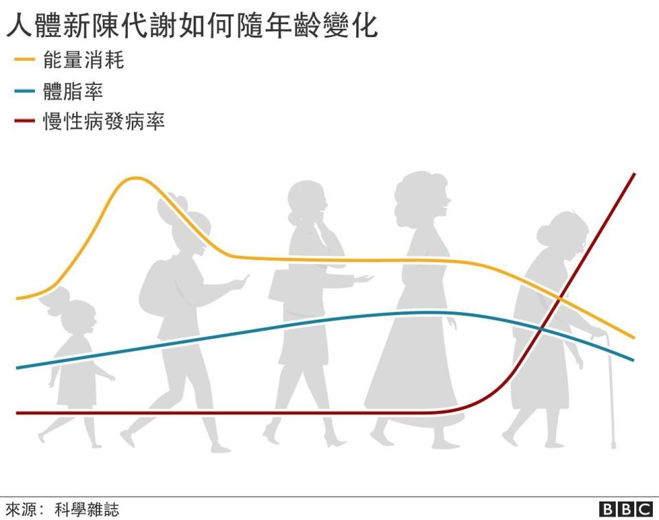 人體新陳代謝如何隨年齡增長而變化