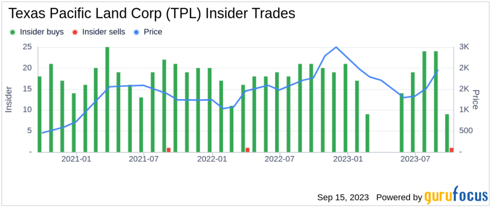 Director Murray Stahl Buys 20 Shares of Texas Pacific Land Corp