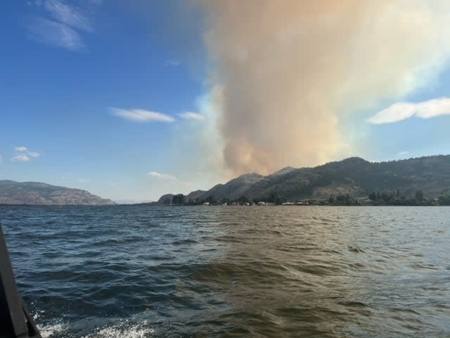 The Lone Pine Creek wildfire, the Canadian section of the Eagle Bluffs fire originating in Washington, is burning just five kilometres from Osoyoos on July 29, 2023, according to the B.C. Wildfire Service. (Helen Bobbitt - image credit)