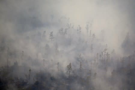 The Wider Image: Indonesia's firefighters on frontline of Borneo's forest blazes