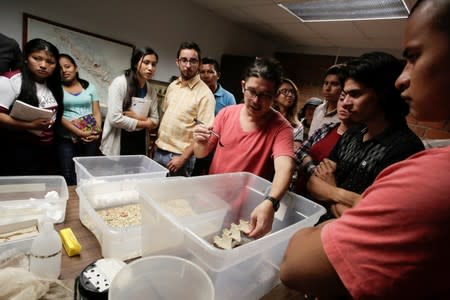 Biologist Federico Paniagua, gives a talk about insects for human consumption to students of the University of Costa Rica, as he is promoting the ingestion of a wide variety of insects, as a low-cost and nutrient-rich food in San Jose