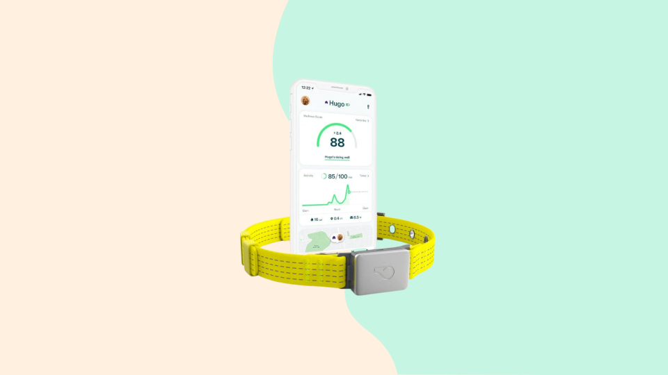 Shop at Whistle to get discounts on dog GPS trackers.