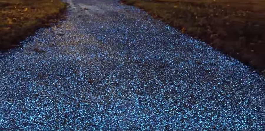 Scientists Created Cement That Glows and Light-Up Roads Could Be Coming
