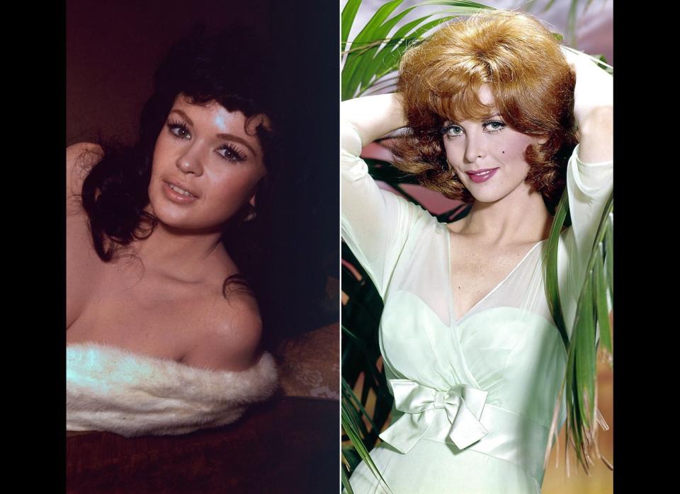 It's been said that the role of Ginger Grant on "Gilligan's Island" was created for actress Jayne Mansfield, but she reportedly turned down the part, which went to Tina Louise. Sadly, Mansfield was killed in a car accident at the age of 34 in 1967, which was coincidentally the last year the show was on the air.