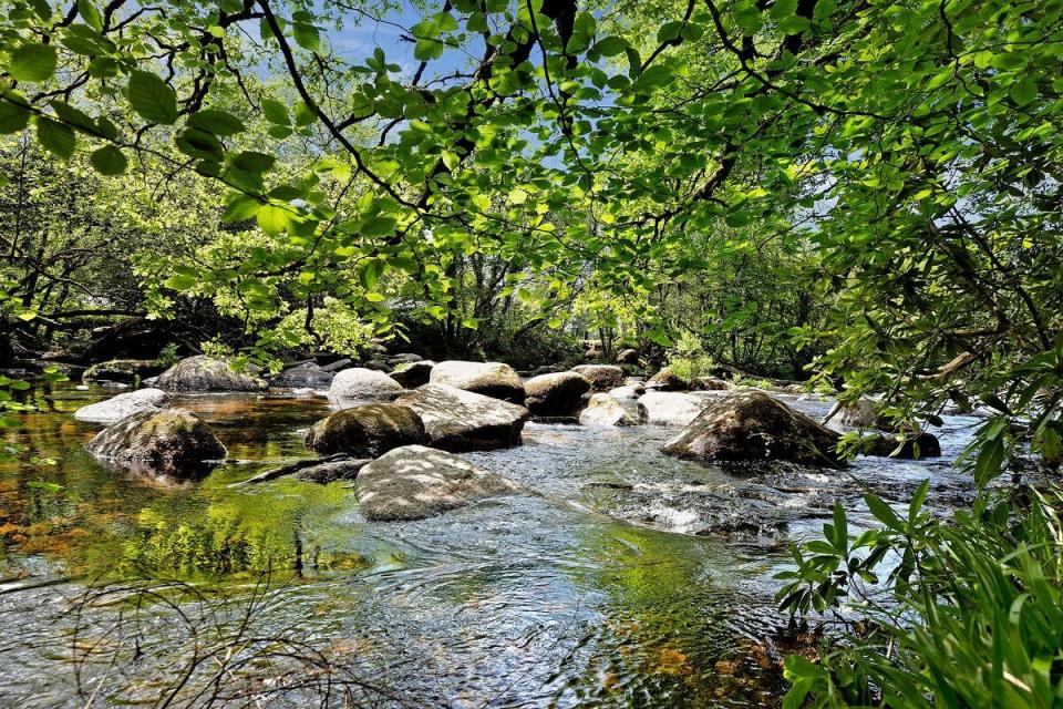 The property in Dartmoor National Park is where the East and West River Darts meet.