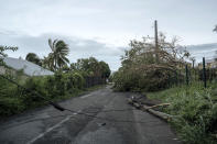Electrical poles and trees fell on the road in the town of La Plaine Saint-Paul on the French Indian Ocean island of Reunion, Monday, Jan. 15, 2024. Authorities urged residents on the French Indian Ocean island of Reunion to shelter indoors Sunday as a powerful storm bore down packing hurricane-force winds and Meteo France forecaster warned of winds that could top 250 kph (155 mph) Monday. In the French Indian Ocean island of Reunion, local authorities said Monday that the highest alert level has been lifted but residents were still urged to remain sheltered indoors. (AP Photo/Lewis Joly)