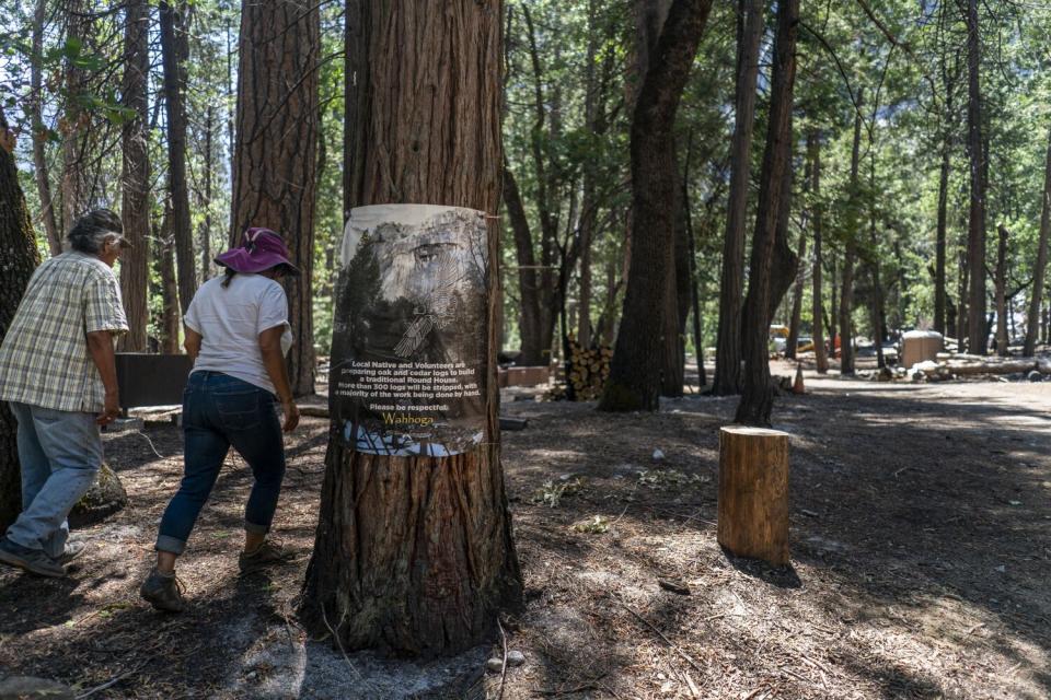 Two people walk in a forest.