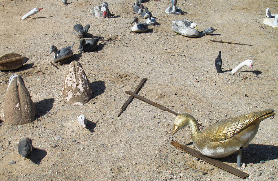 California Drought: Ducks and Geese in East Jesus  