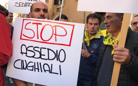 A farmer holds a placard reading 'Stop the siege by wild boars' - Credit: Nick Squires