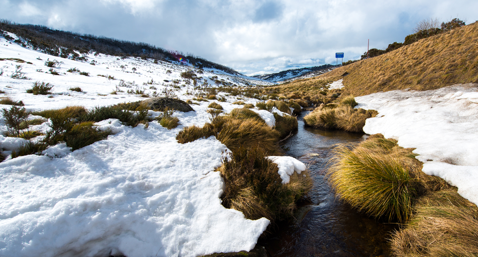 The Kosciusko National Park is pictured covered in snow, as authorities warn campers to pick up after themselves. 