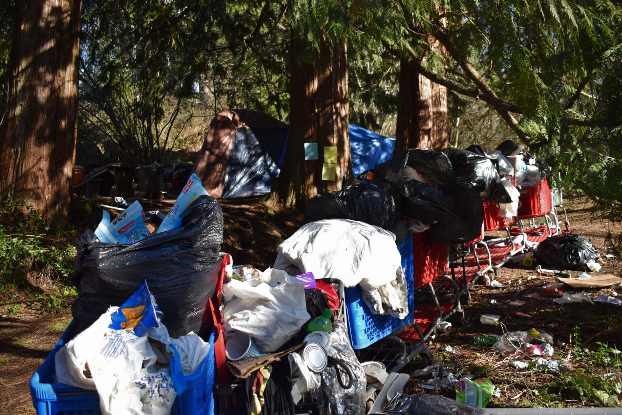 Grocery carts full of garbage line a path to the topmost congregation of tents at the Hospital Hill encampment. After a fence was erected on the edge of Kitsap County property, blocking access a garbage truck once had, bags and piles of trash accumulated across the forested area.