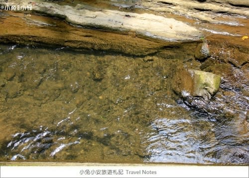 『苗栗』暑假夏日溪畔玩水趣～卓蘭岩川森林園區。