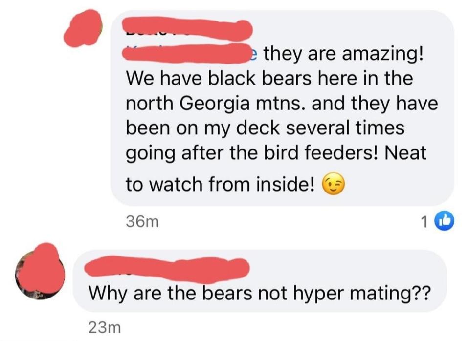 facebook conversations where someone spells hibernating as "hyper mating"
