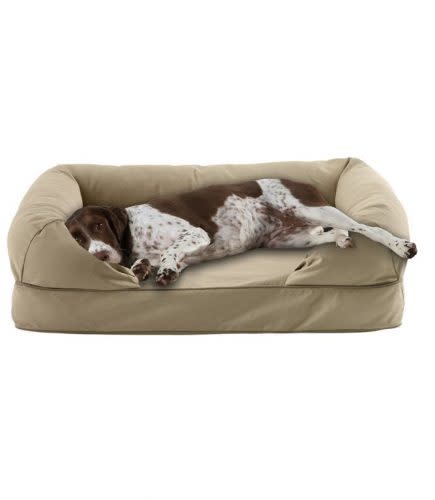 LL Bean Therapeutic Dog Bed