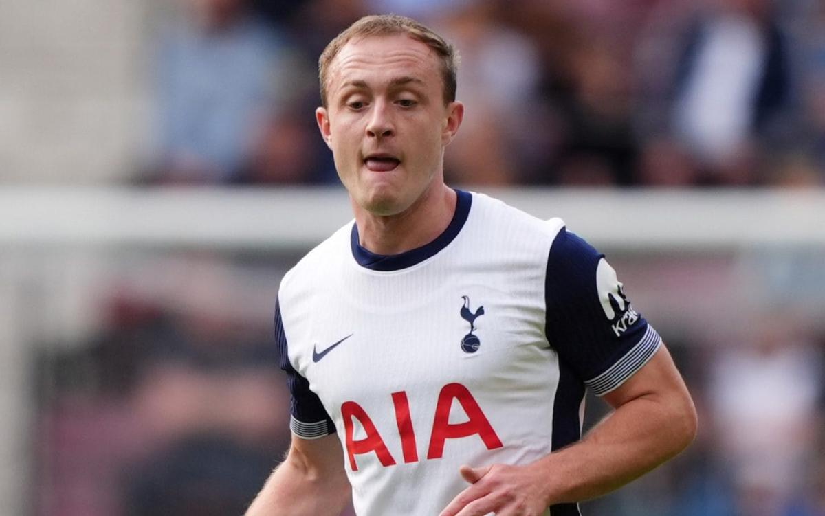 Promoted clubs in three-way fight to snare Spurs star Skipp