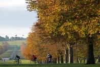 <p>Taking the fifth spot is Windsor Great Park, home to a deer park, 2,000 hectares and glorious countryside views. Once you've finished your picnic, explore the enchanting woodland trails filled with wild flowers and seasonal displays.</p>