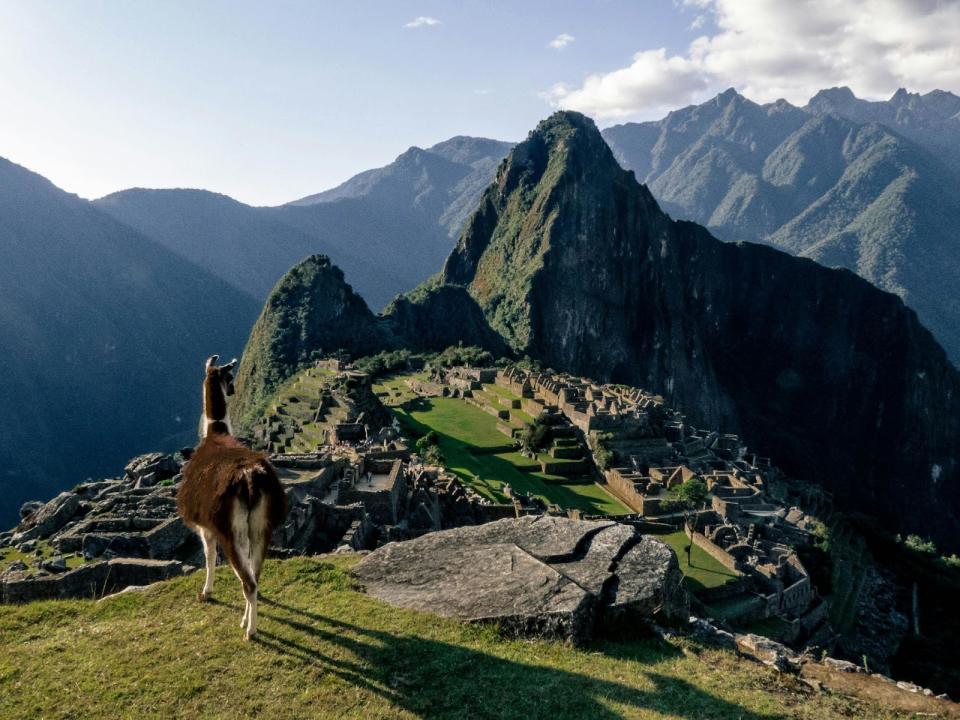 Learn why spring is one of the best times to visit Machu Picchu. 
pictured: Machu Picchu with a llama gazing 