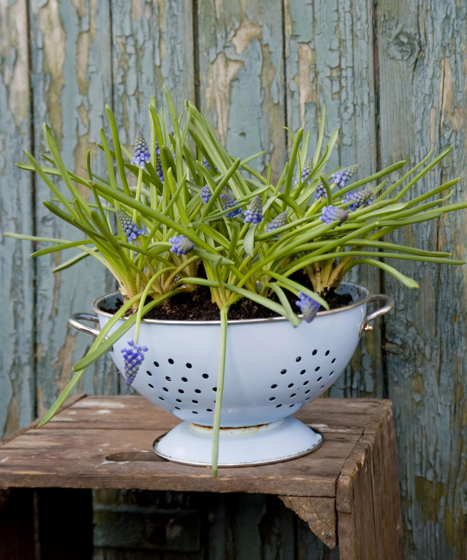 14. Use a colander to create a planter