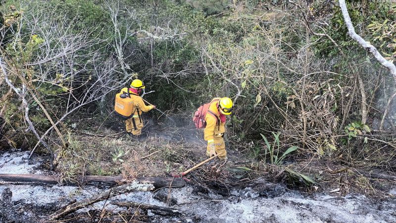 Emergency personnel work to put out a forest fire in Machu Picchu