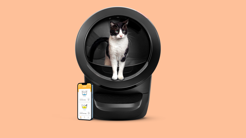 Let this self-cleaning litter box take on the task of keeping your kitty's bathroom clean.