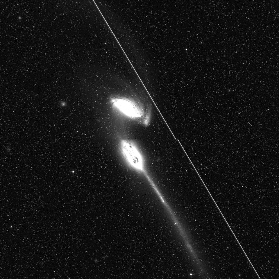 white line satellite streaks across black and white image of starry universe with two bright galaxies