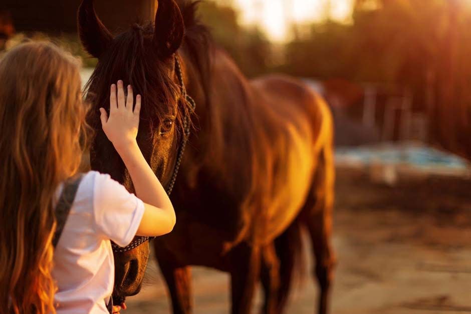 Alaqua Animal Refuge and Healing Hoof Steps are partnering to provide horse therapy for Northwest Florida residents in need.