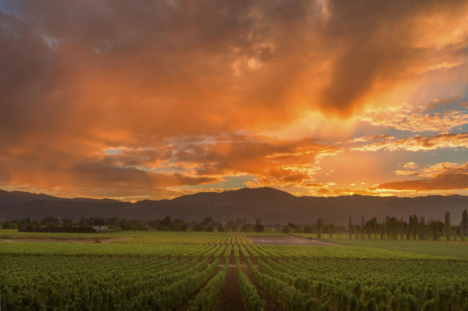 A hillside winery with mountains in the background