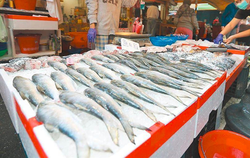 大陸暫停出口台灣水產品，對午仔魚、魷魚、秋刀魚等衝擊最大。（中時資料照／杜宜諳攝）