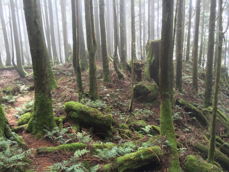 登山塔魔巴稜線（呂紹煒攝）