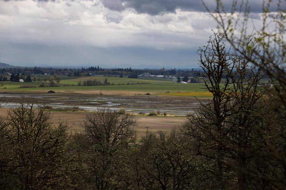The view from Rich Guadagno Memorial Loop Trail at Baskett Slough in Rickreall on April 7, 2021.