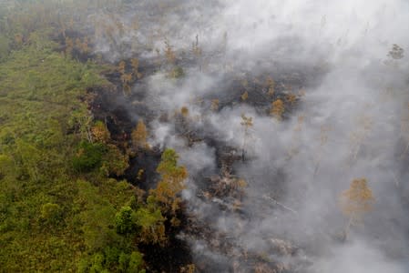 FILE PHOTO: Smog covers a forest during fires in Pulang Pisau regency near Palangka Raya