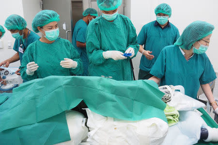 FILE PHOTO : Thai veterinarians prepare to operate on Omsin, a 25 year old femal green sea turtle to remove coins from her stomach at the Faculty of Veterinary Science, Chulalongkorn University in Bangkok, Thailand, March 6, 2017. Picture taken March 6, 2017. The Faculty of Veterinary Science, Chulalongkorn University Handout via REUTERS/File photo